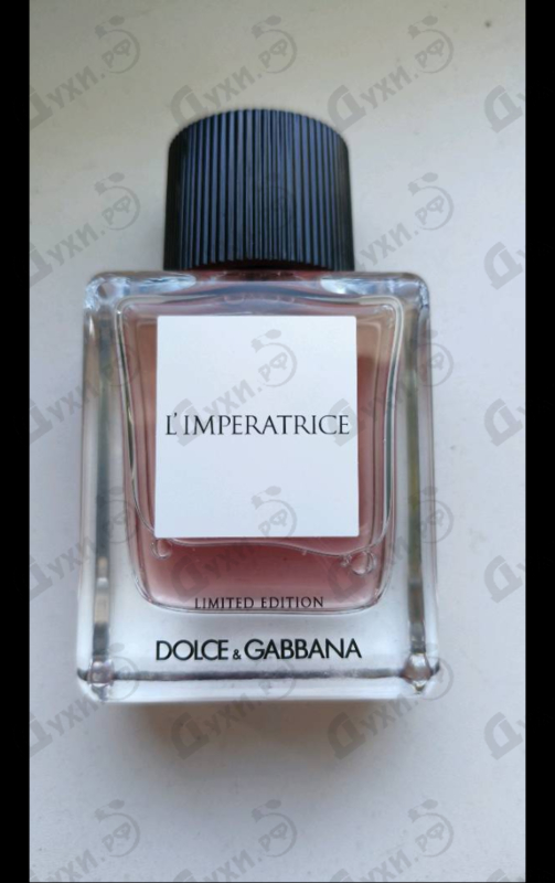 Купить L'Imperatrice Limited Edition от Dolce & Gabbana