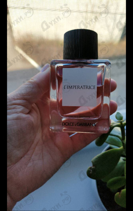 Купить L'Imperatrice Limited Edition от Dolce & Gabbana