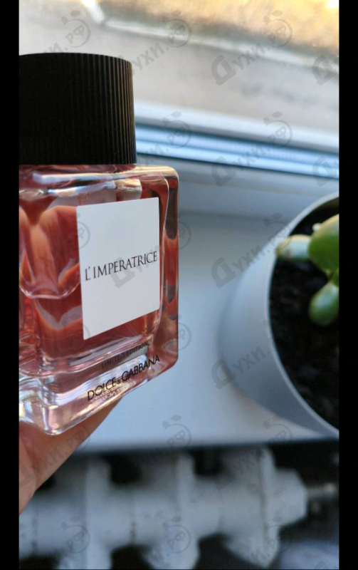 Парфюмерия Dolce & Gabbana L'Imperatrice Limited Edition