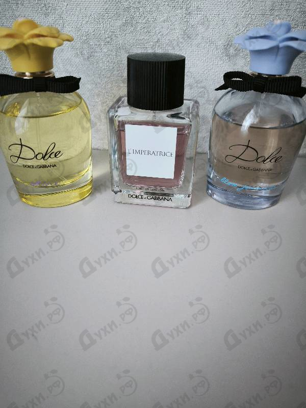 Купить L'Imperatrice Limited Edition от Dolce & Gabbana