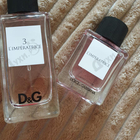 Отзыв Dolce & Gabbana L'Imperatrice Limited Edition