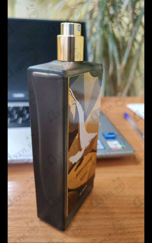 Духи Ocean Leather от Memo