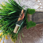 Парфюм The Merchant of Venice My Pearls