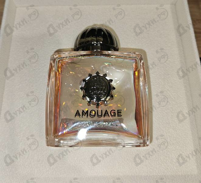 Духи Portrayal от Amouage