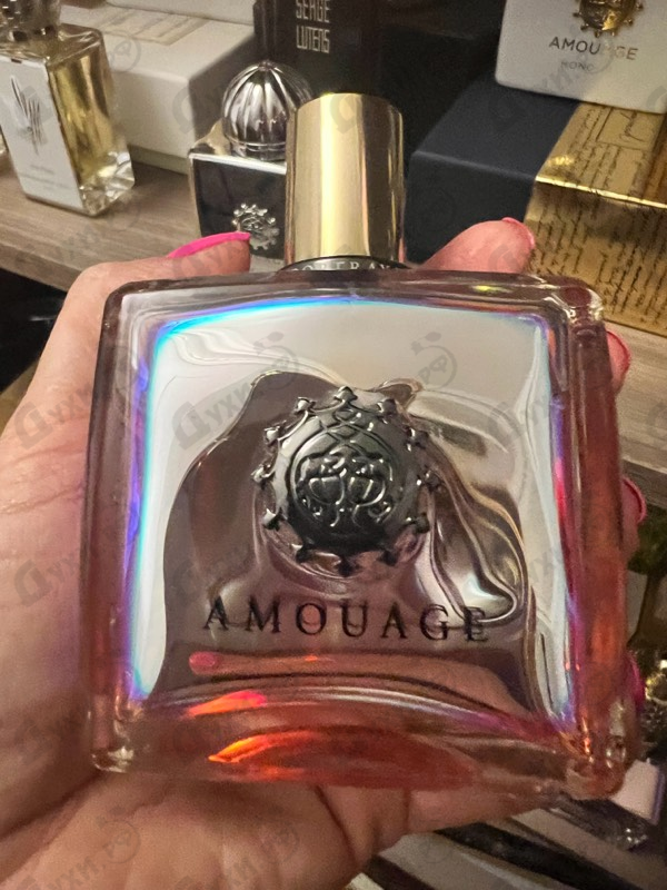 Купить Portrayal от Amouage