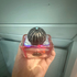 Отзывы Amouage Portrayal Парфюмерия Portrayal от Amouage