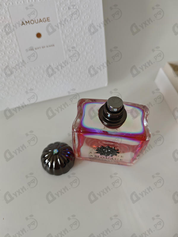 Купить Portrayal от Amouage