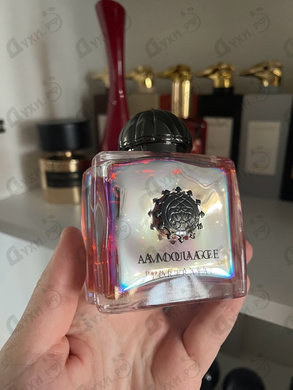 Купить Portrayal от Amouage