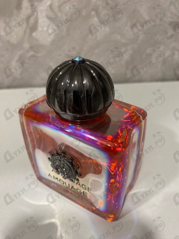 Купить Portrayal от Amouage