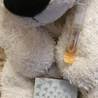 Парфюм Amouage Portrayal