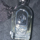 Парфюм Arabesque Elusive Musk