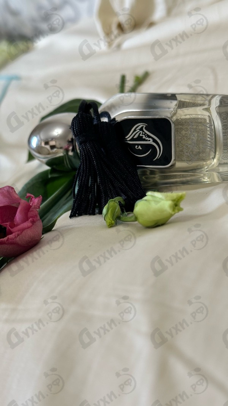 Парфюмерия Elusive Musk от Arabesque