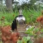 Отзыв Arabesque Elusive Musk