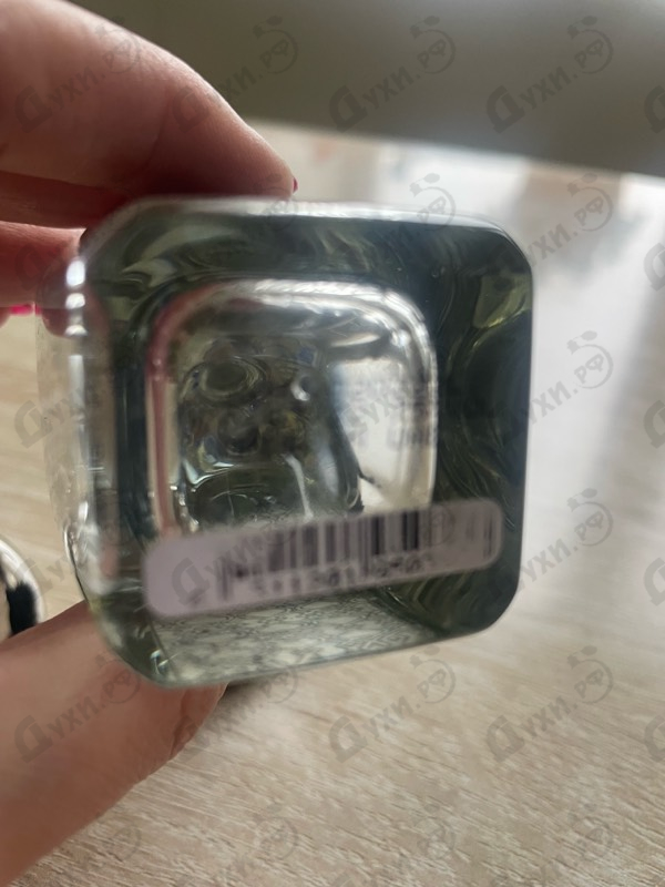 Отзывы Arabesque Elusive Musk