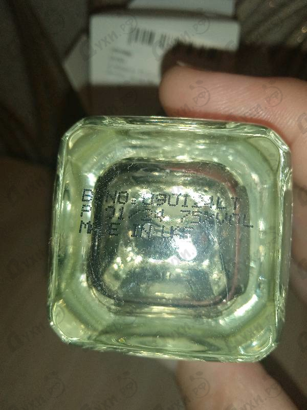 Купить Elusive Musk от Arabesque