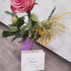 Парфюм Byredo Parfums Sundazed