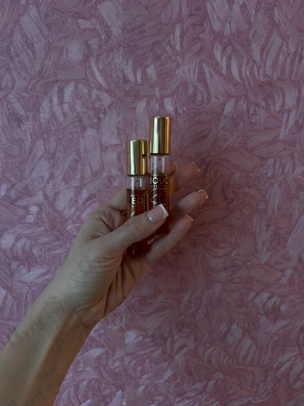 Купить Bouge Drunk Cherry