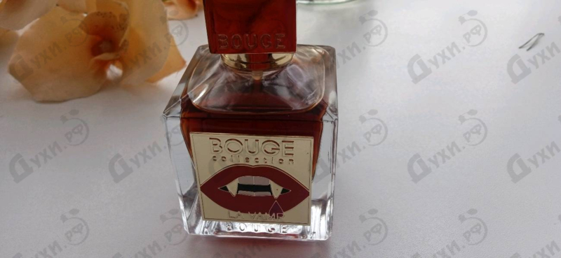 Купить La Vamp от Bouge