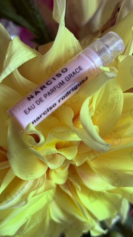 Парфюмерия Narciso Rodriguez Eau De Parfum Grace