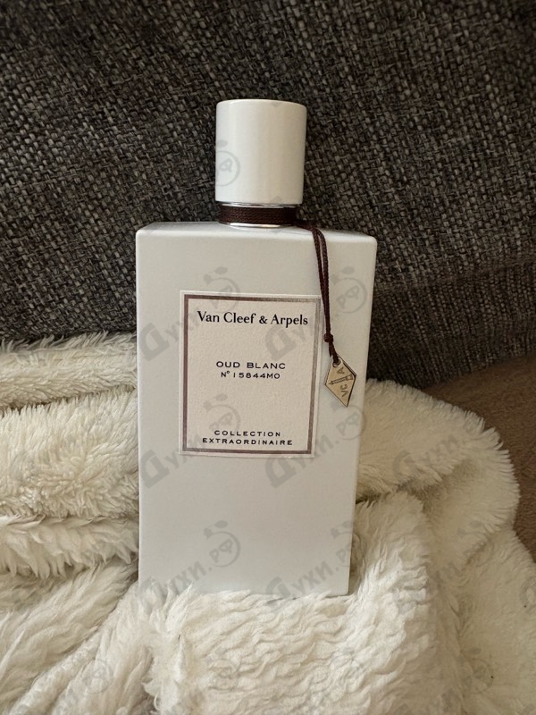Отзывы Van Cleef & Arpels Oud Blanc