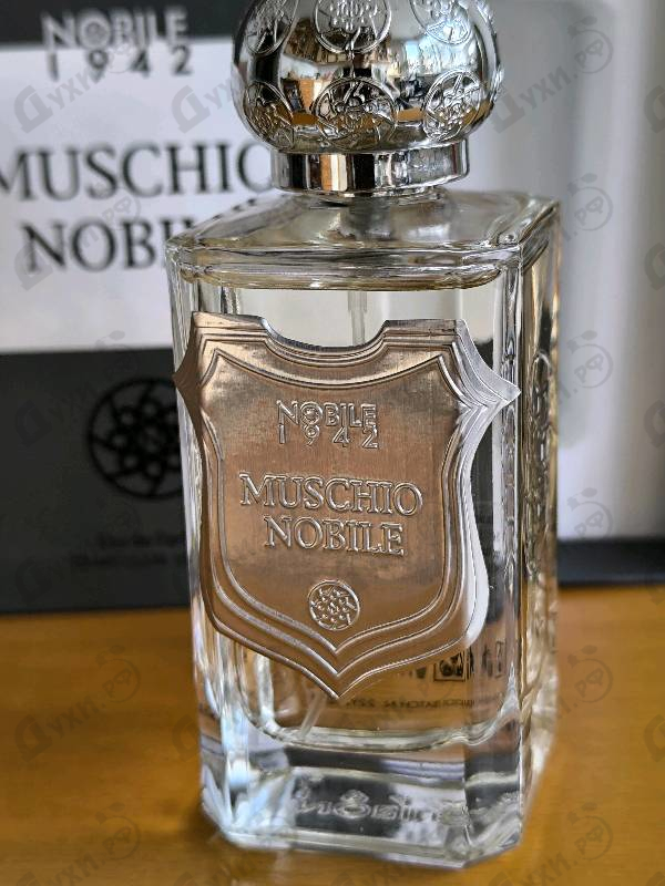 Купить Nobile 1942 Muschio Nobile