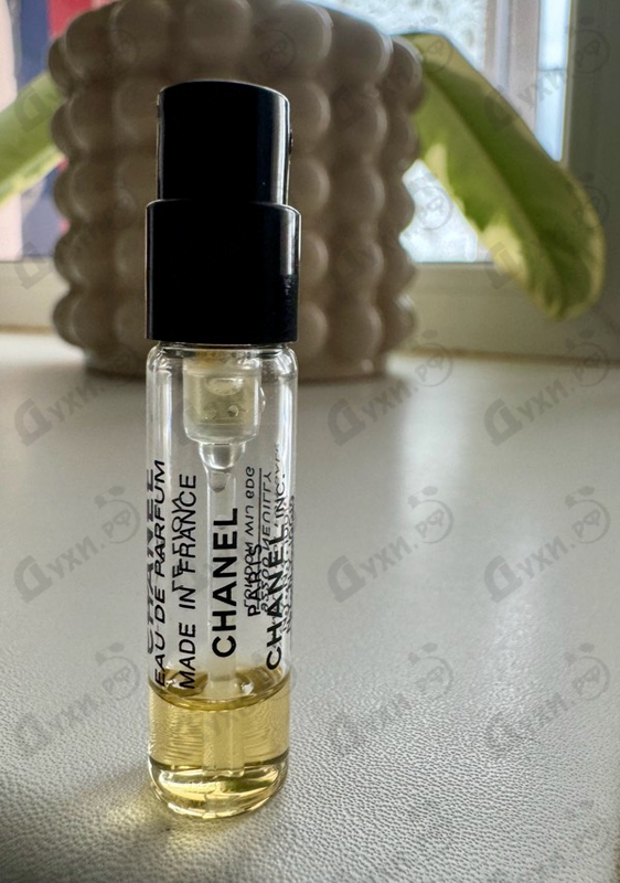 Отзыв Chanel Le Lion