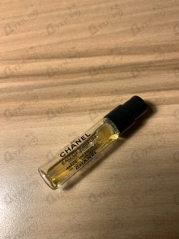 Купить Chanel Le Lion