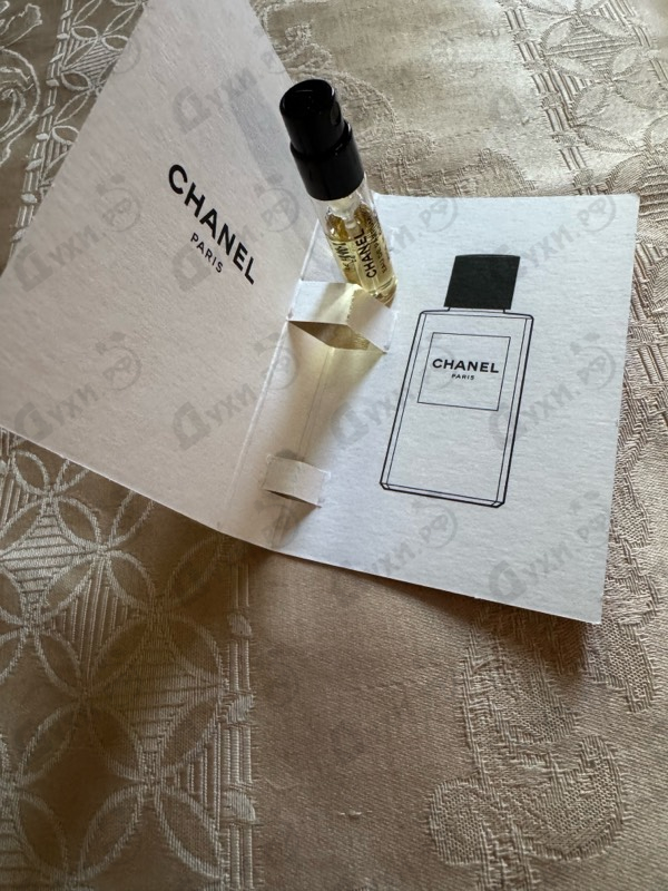 Купить Le Lion от Chanel