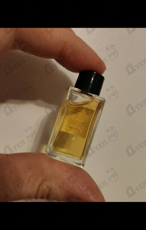 Купить Le Lion от Chanel