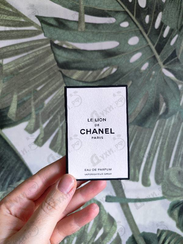 Купить Chanel Le Lion