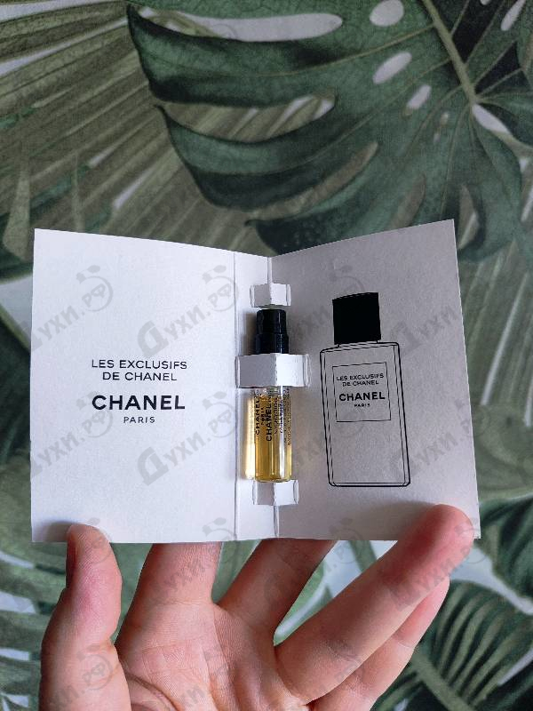 Купить Le Lion от Chanel