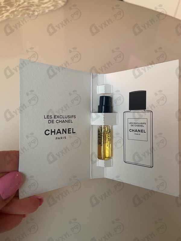 Отзыв Chanel Le Lion