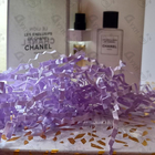 Парфюм Chanel Le Lion