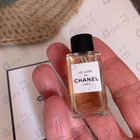 Отзыв Chanel Le Lion