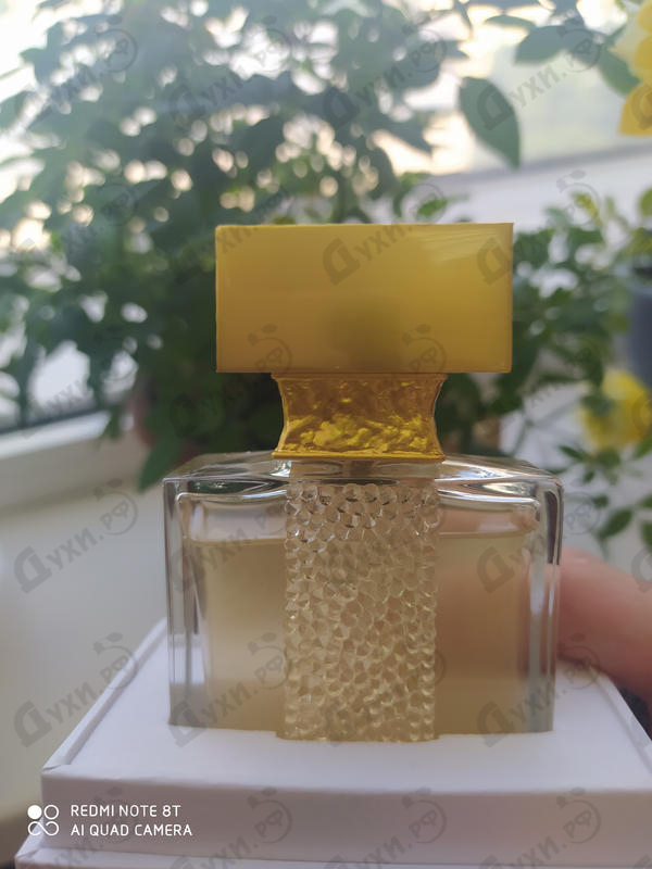 Парфюмерия Ylang In Gold Nectar от Micallef