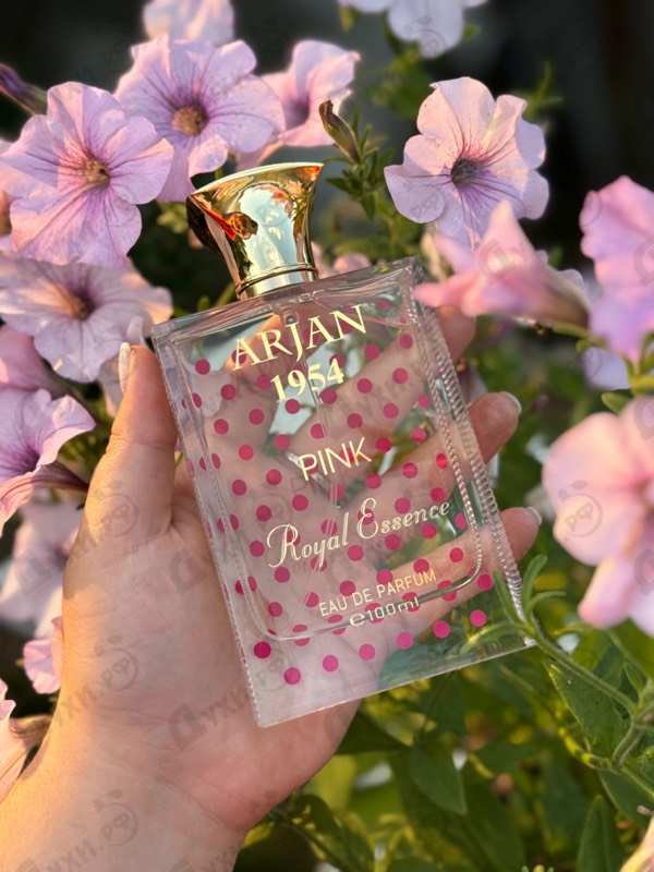Купить Arjan 1954 Pink от Norana Perfumes