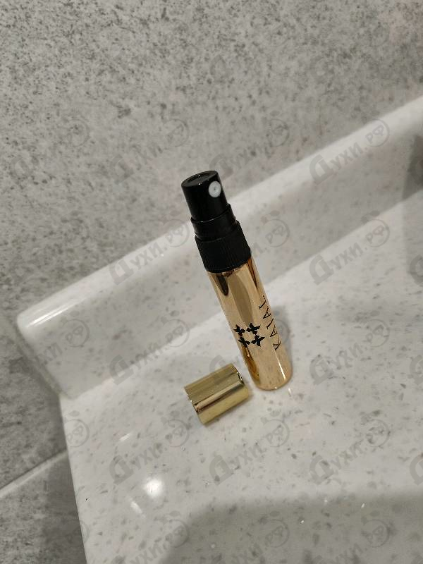 Купить Kajal Lamar