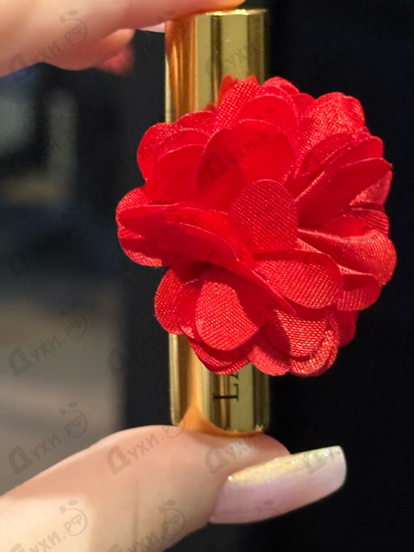 Купить Kajal Lamar