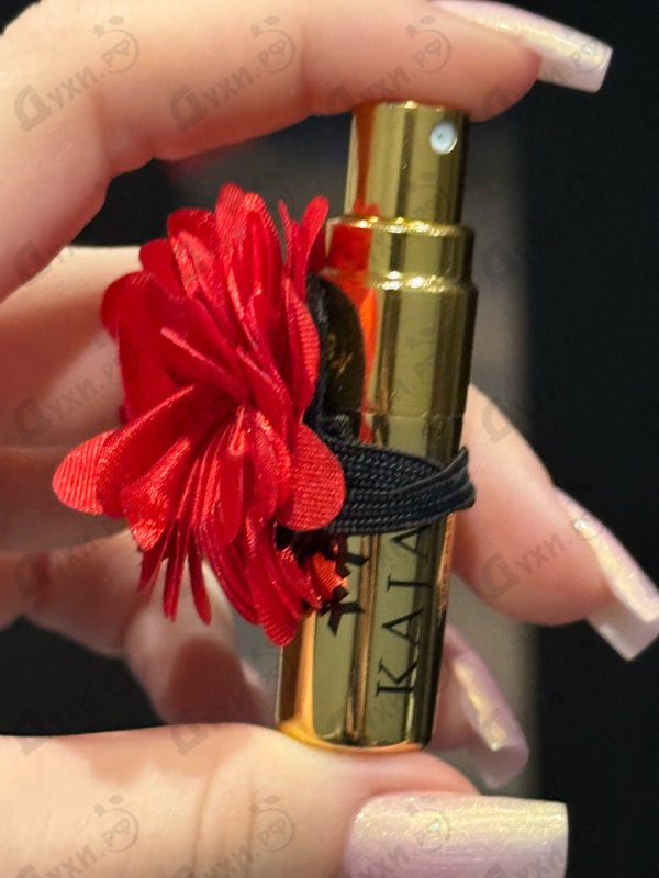 Купить Lamar от Kajal