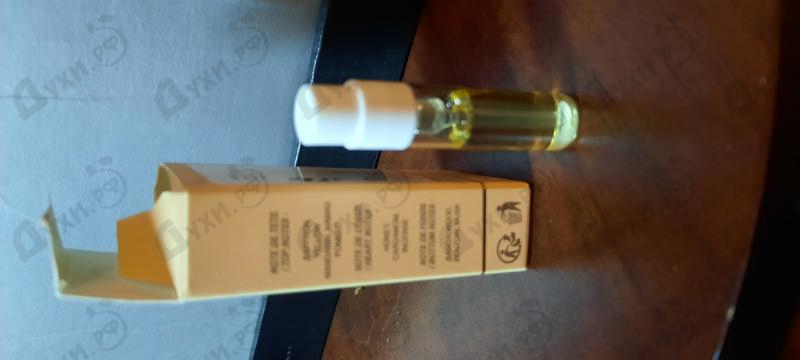 Парфюмерия Sun Force от The Harmonist