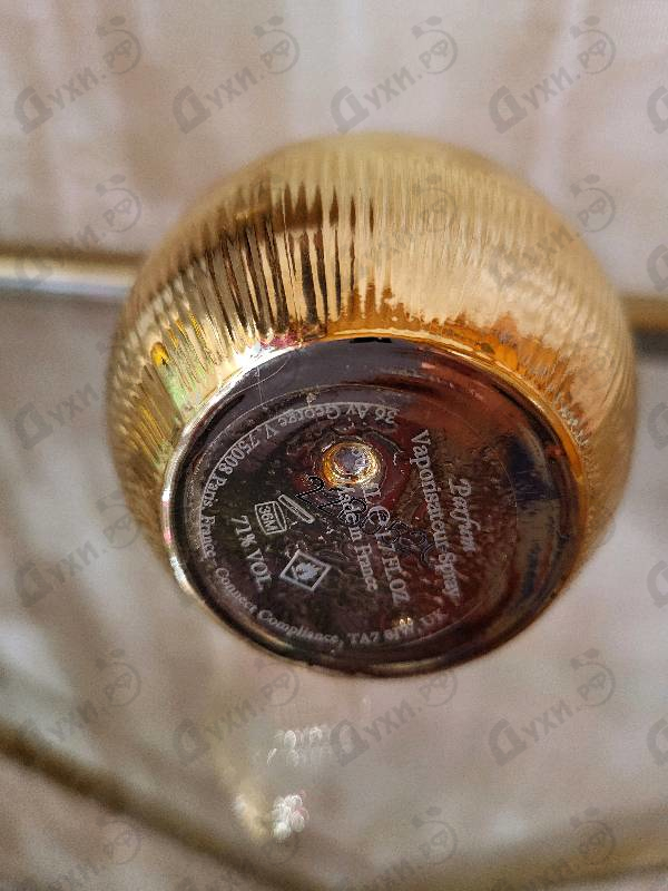 Отзывы The Harmonist Sun Force