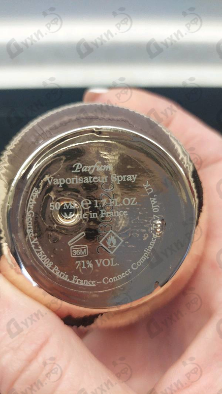 Отзыв The Harmonist Sun Force