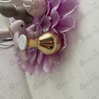 Отзыв The Harmonist Sun Force