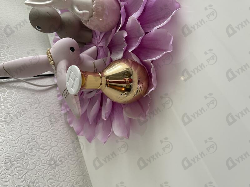 Духи Sun Force от The Harmonist