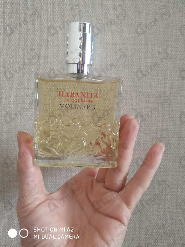 Купить Habanita La Cologne от Molinard