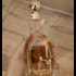 Отзыв Jimmy Choo I Want Choo Купить I Want Choo от Jimmy Choo