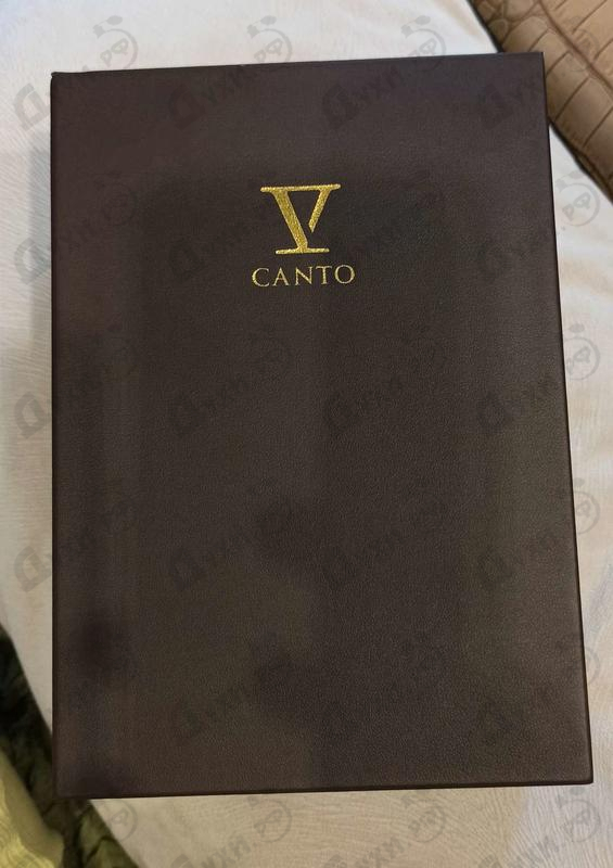 Купить V Canto Isotta