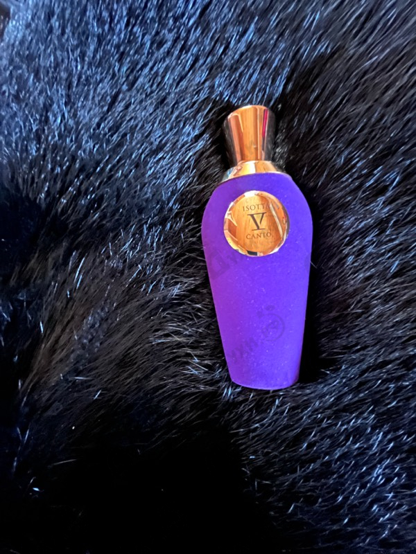 Купить Isotta от V Canto