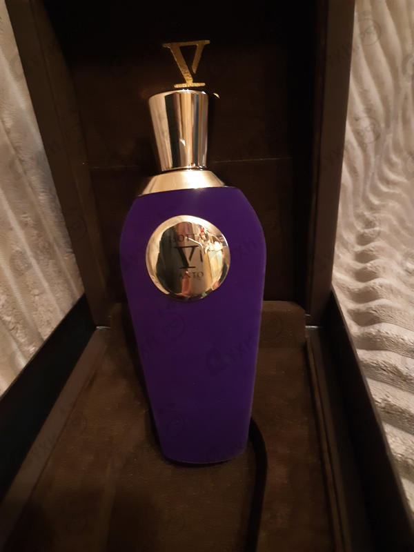 Купить Isotta от V Canto