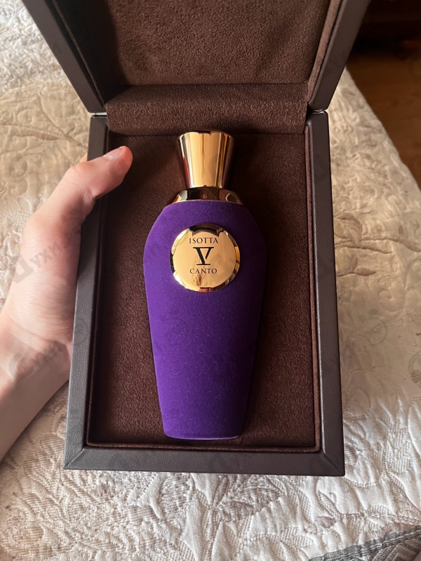 Купить Isotta от V Canto